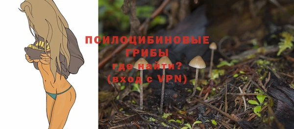 бошки Каменка