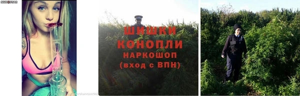 COCAINE Каменногорск