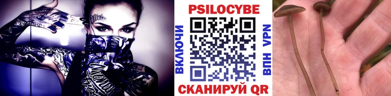 Галлюциногенные грибы MAGIC MUSHROOMS  купить закладку  мориарти клад  Камень-на-Оби 